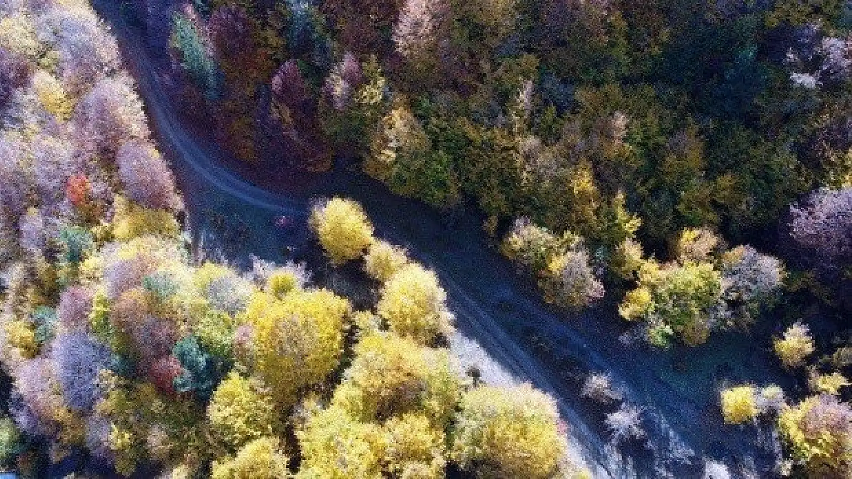 Anadolu'nun &quotYüce Dağı" Ilgaz rengarenk