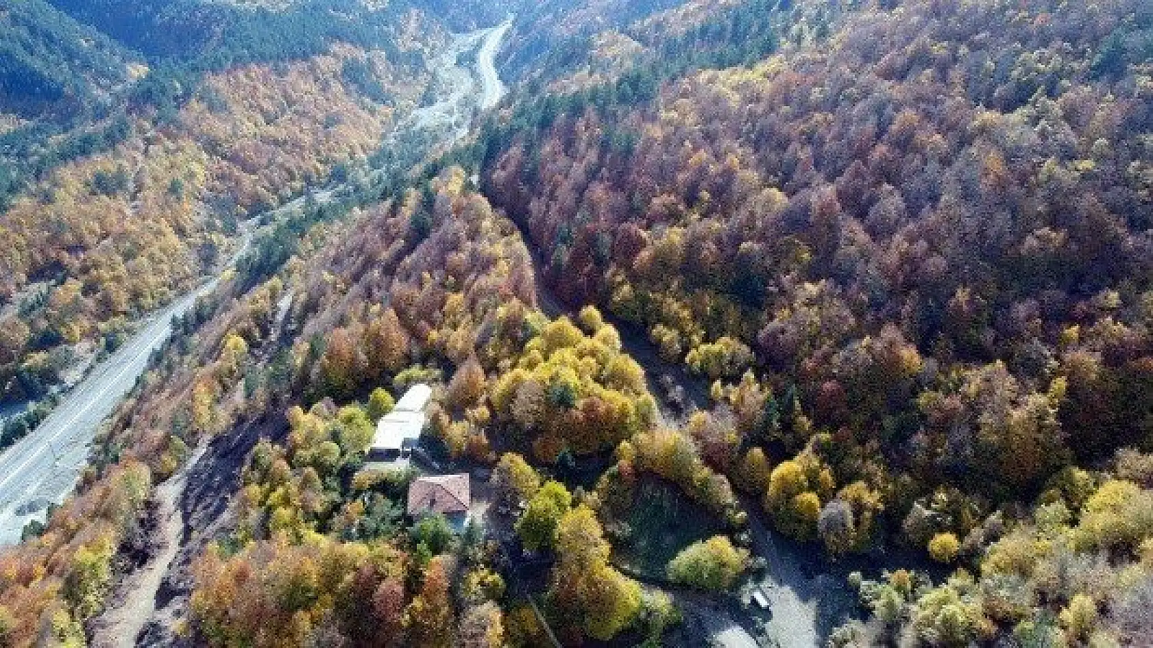 Anadolu'nun &quotYüce Dağı" Ilgaz rengarenk