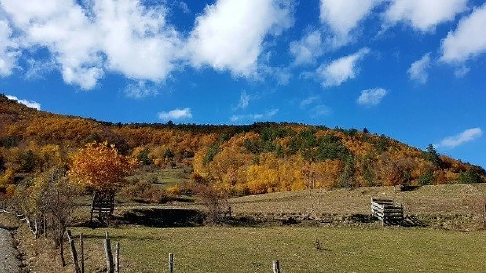 Anadolu'nun &quotYüce Dağı" Ilgaz rengarenk
