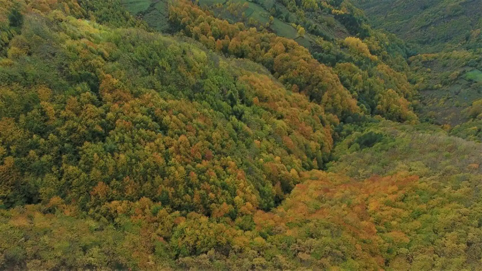 Küre Dağları'nın bir yanı sonbahar bir yanı kış