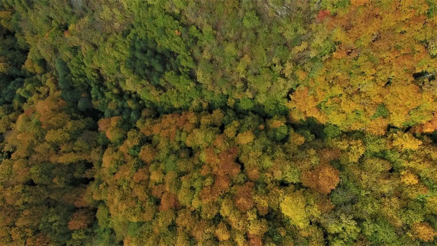 Küre Dağları'nın bir yanı sonbahar bir yanı kış