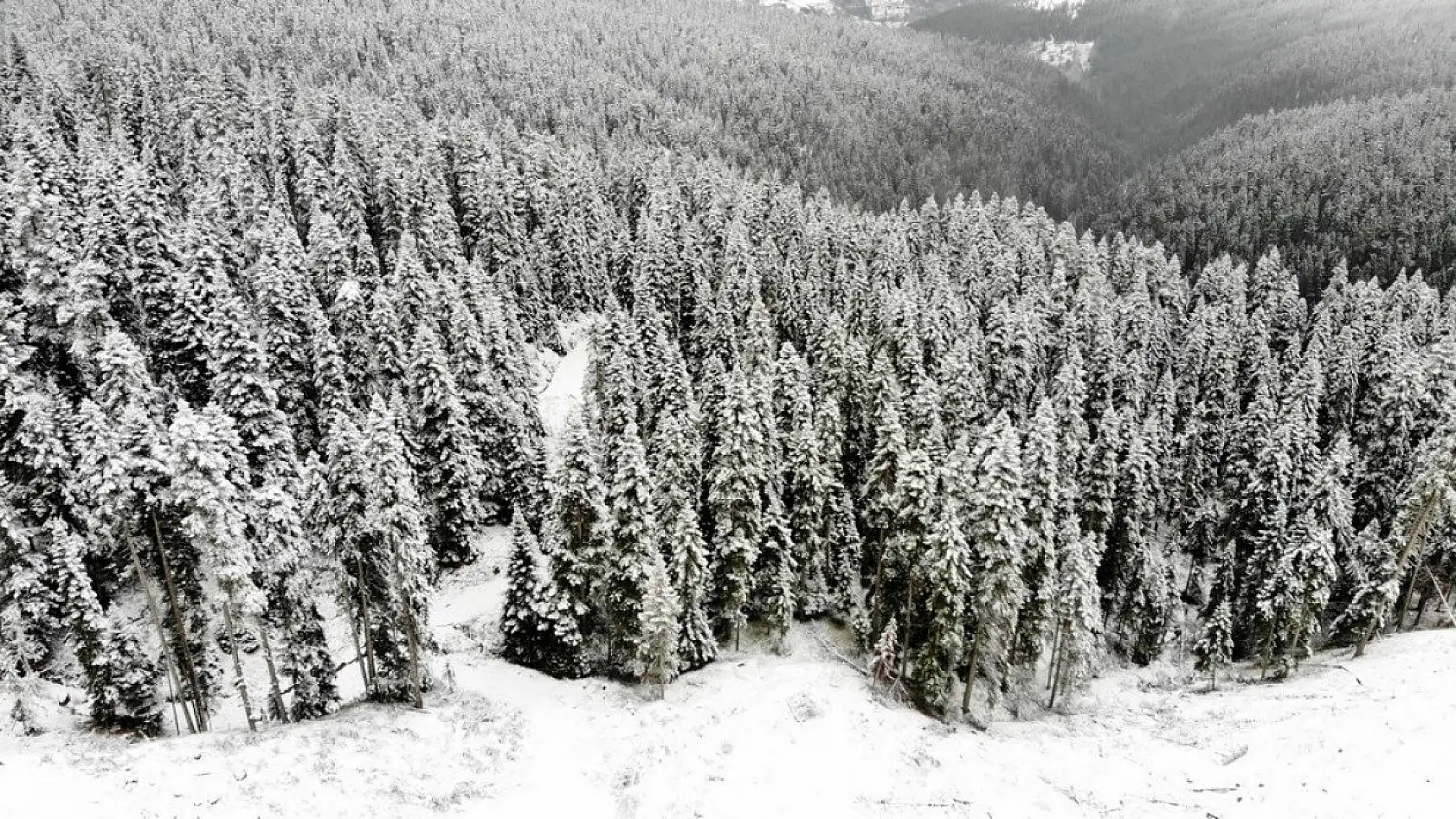 Ilgaz Dağı'nda kar etkili oluyor
