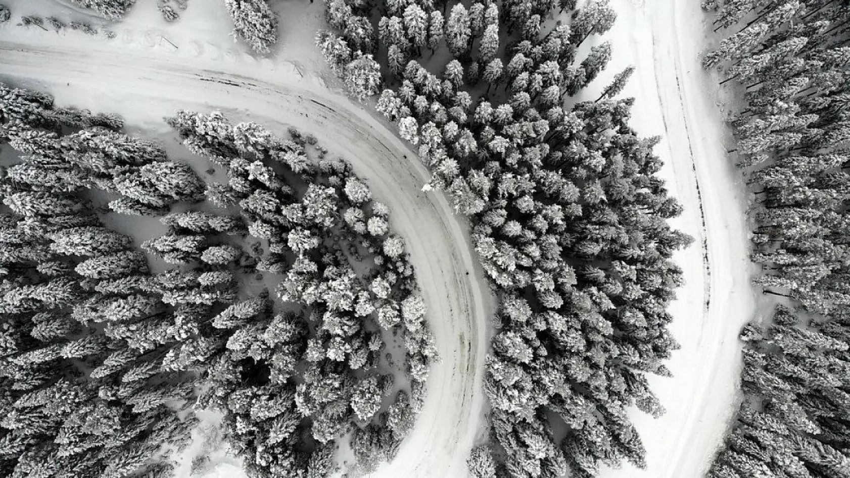 'Anadolu'nun yüce dağı' Ilgaz beyaz örtüsüyle büyülüyor