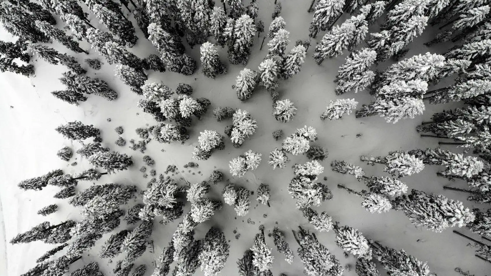 'Anadolu'nun yüce dağı' Ilgaz beyaz örtüsüyle büyülüyor