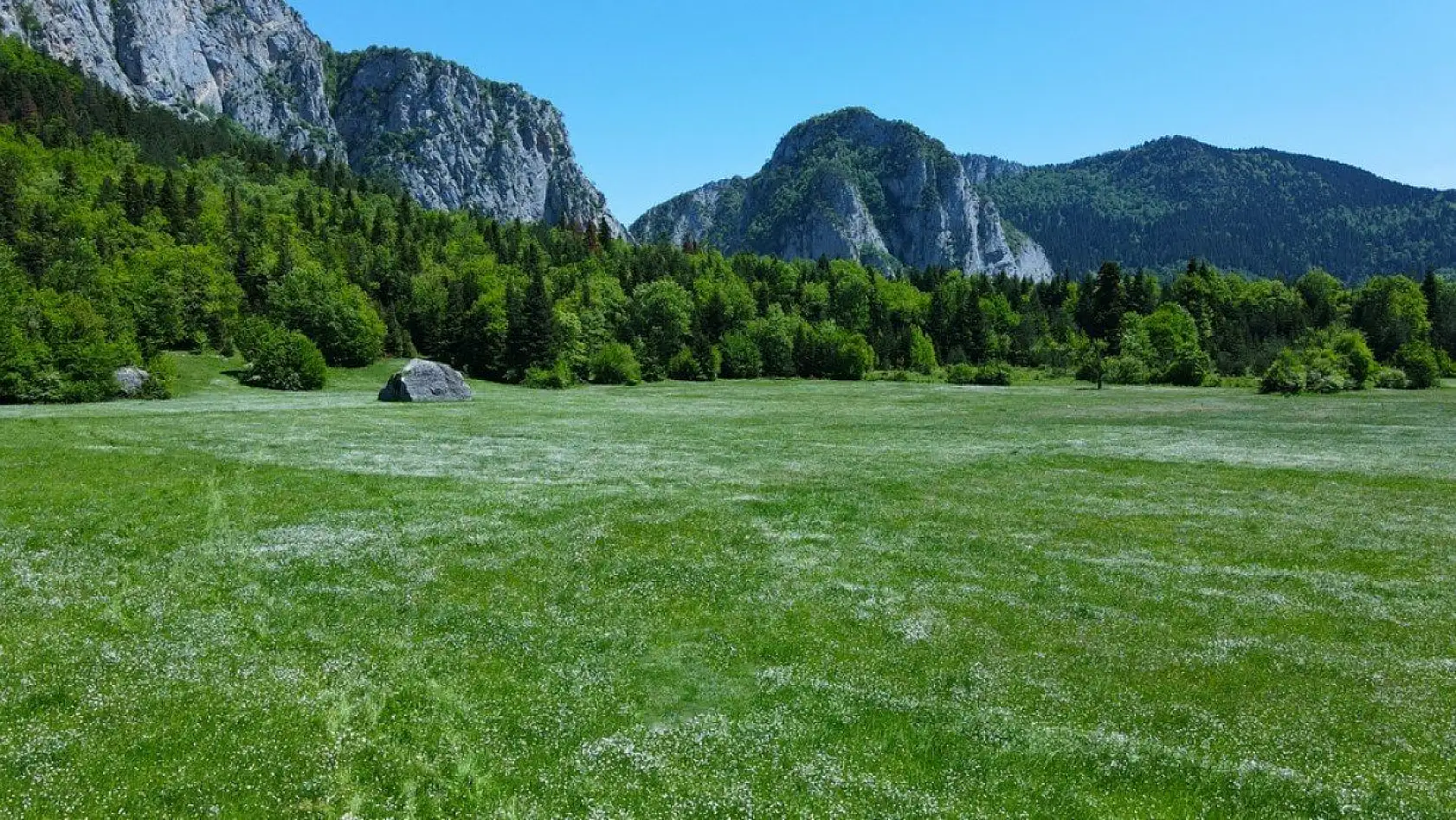 Küre Dağları yeşilin farklı tonlarıyla görsel şölen sunuyor
