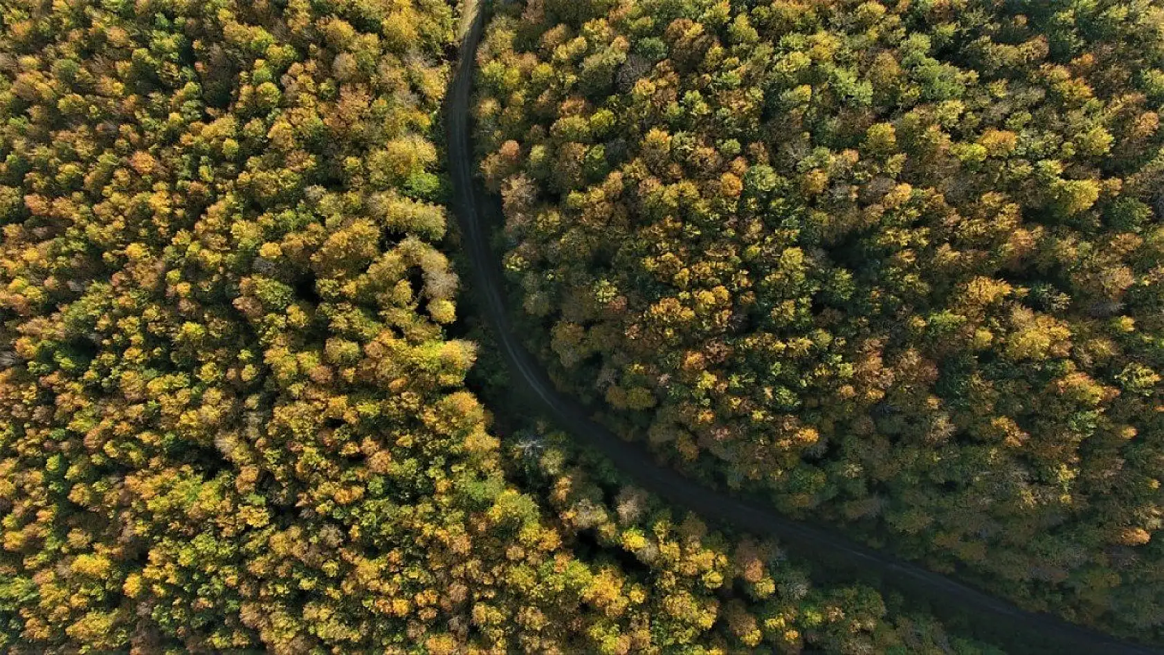 Kastamonu'da sonbahar ayrı bir güzel