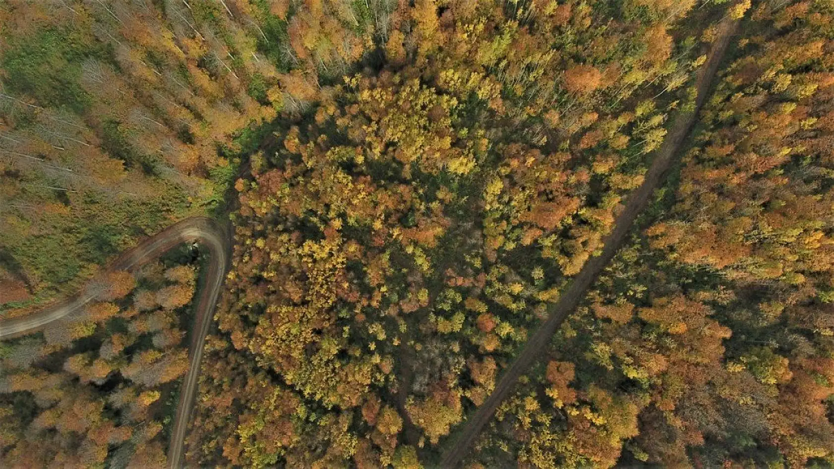 Kastamonu'da sonbahar ayrı bir güzel