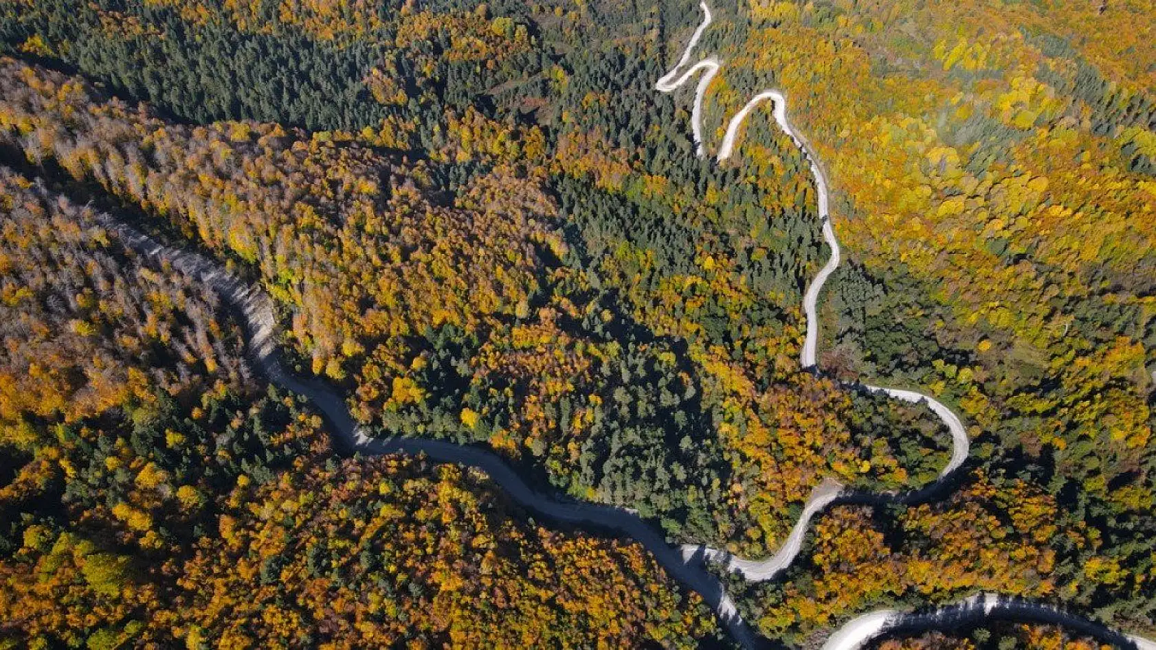 Küre Dağları'nda sonbahar güzelliği