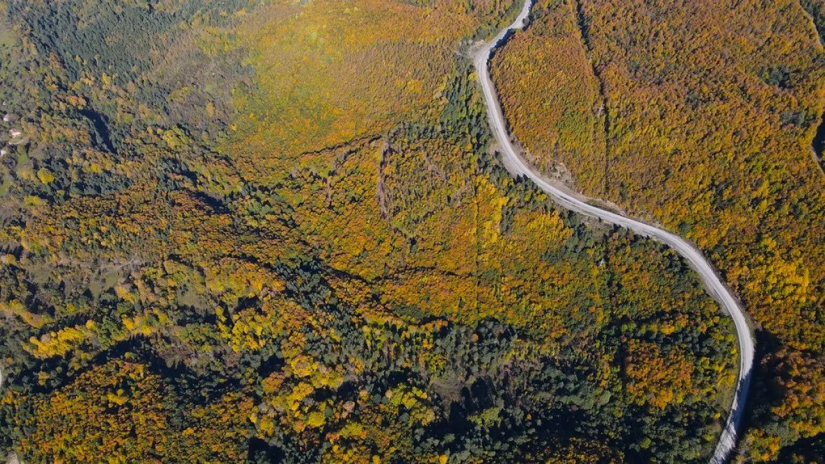 Küre Dağları'nda sonbahar güzelliği