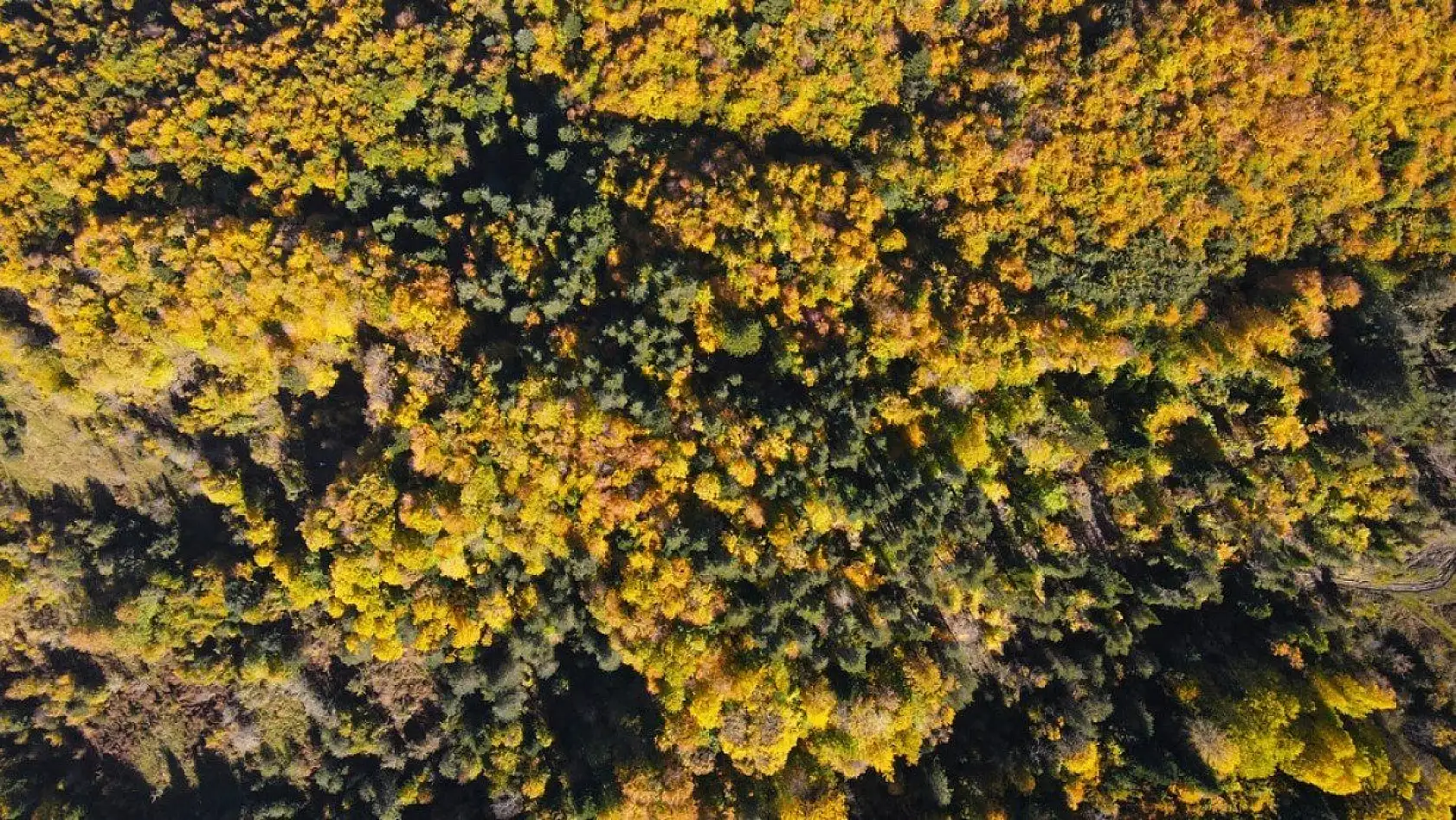 Küre Dağları'nda sonbahar güzelliği