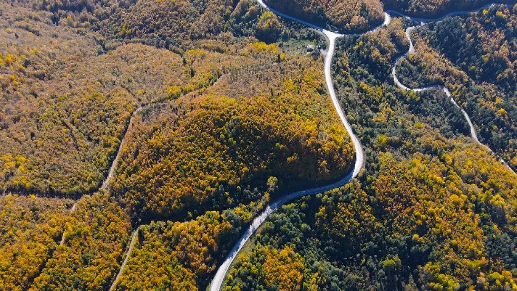 Küre Dağları'nda sonbahar güzelliği