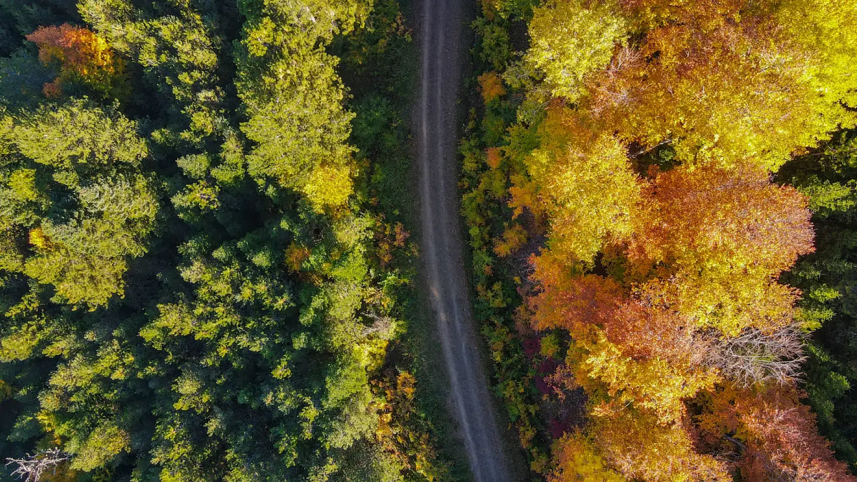 Küre Dağları'nda sonbahar güzelliği