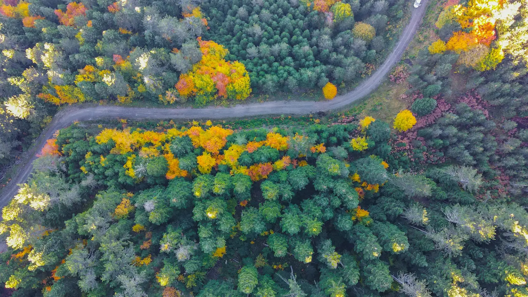 Küre Dağları'nda sonbahar güzelliği