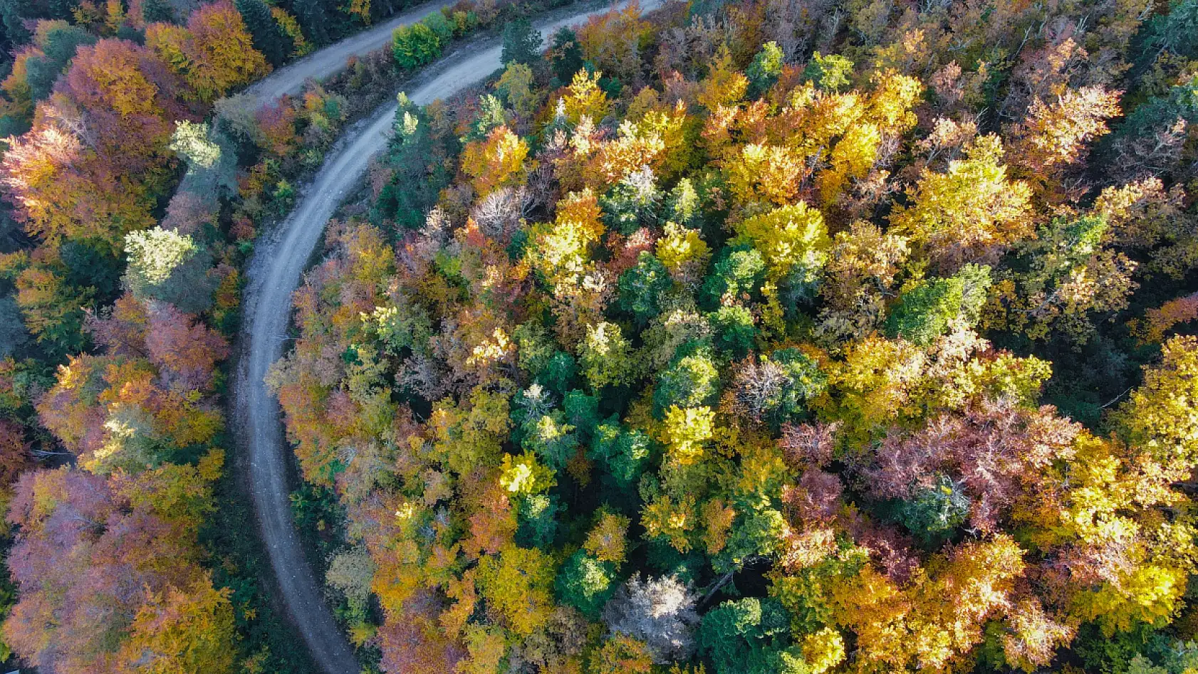Küre Dağları'nda sonbahar güzelliği