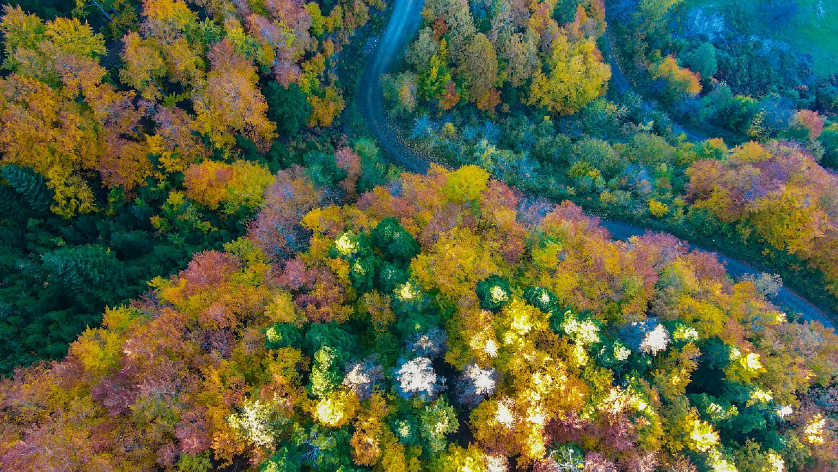 Küre Dağları'nda sonbahar güzelliği