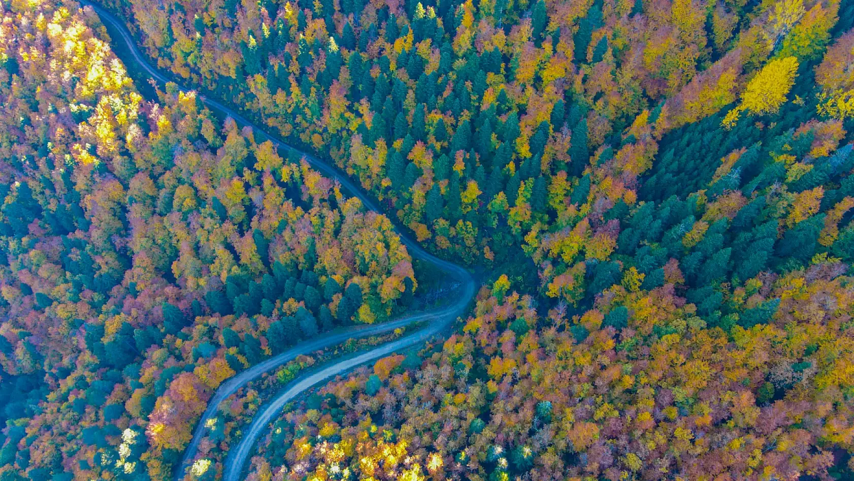 Küre Dağları'nda sonbahar güzelliği