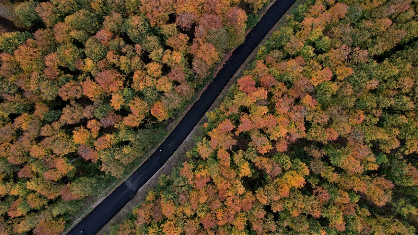 Kastamonu sonbaharın bütün renklerini yansıtıyor