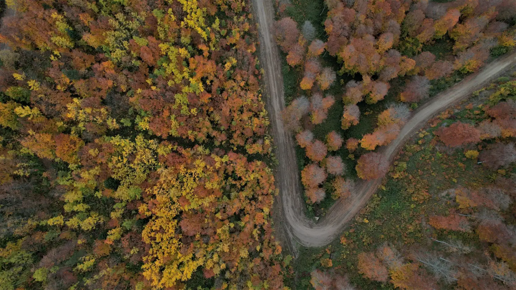 Kastamonu sonbaharın bütün renklerini yansıtıyor