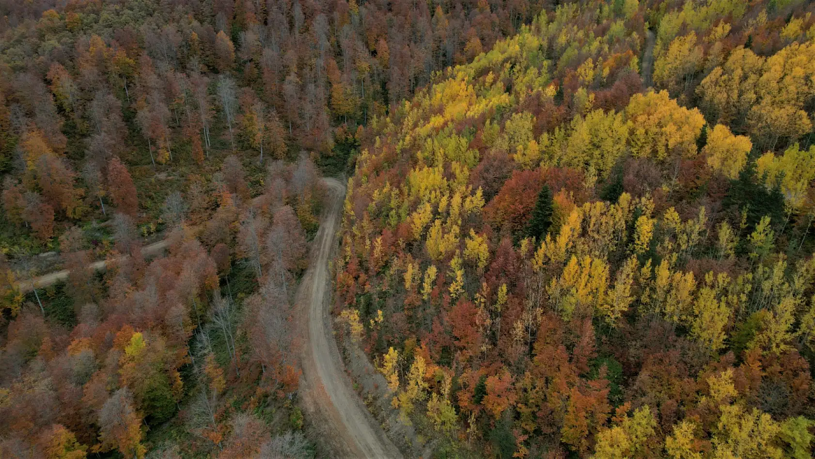 Kastamonu sonbaharın bütün renklerini yansıtıyor