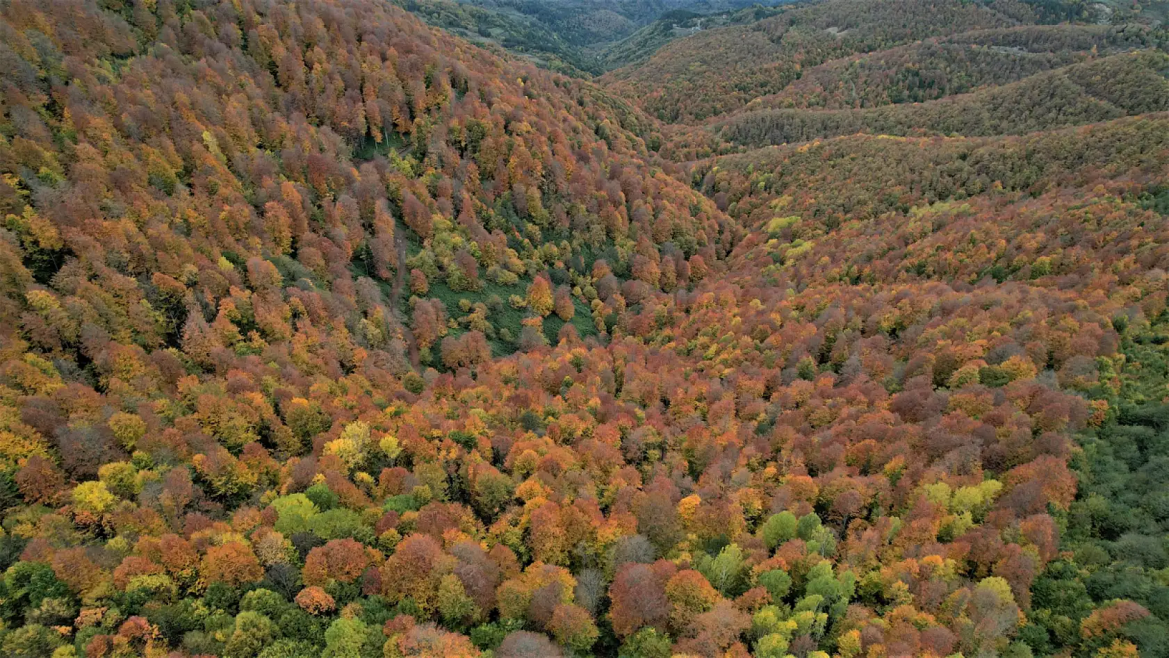 Kastamonu sonbaharın bütün renklerini yansıtıyor