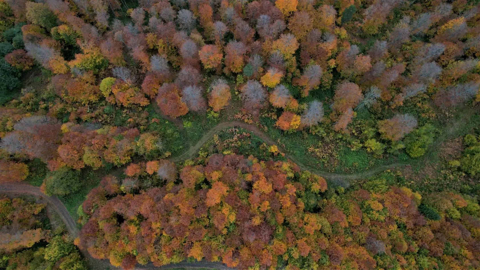 Kastamonu sonbaharın bütün renklerini yansıtıyor