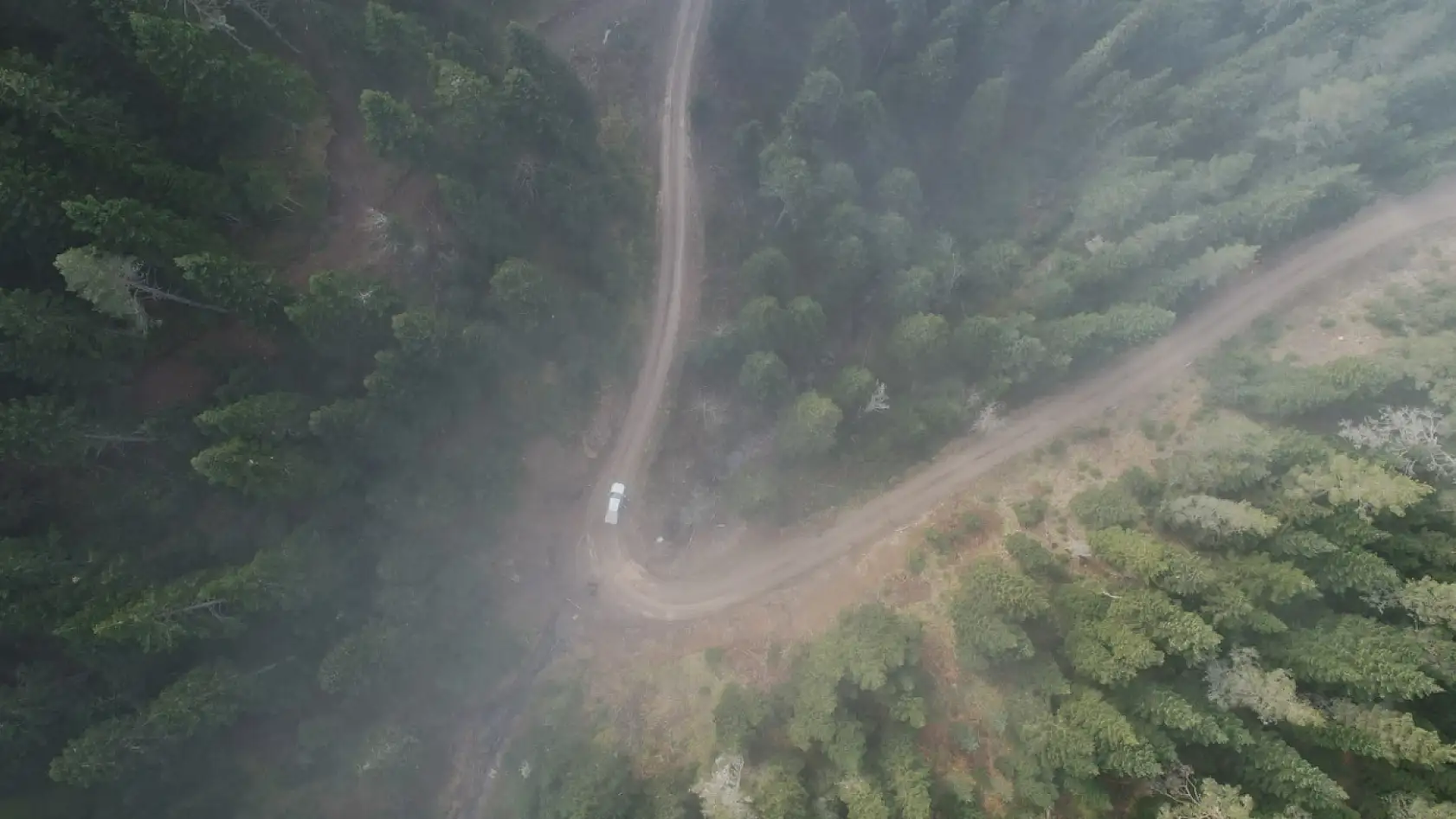 Sisle buluşan ormanlar görüntülendi