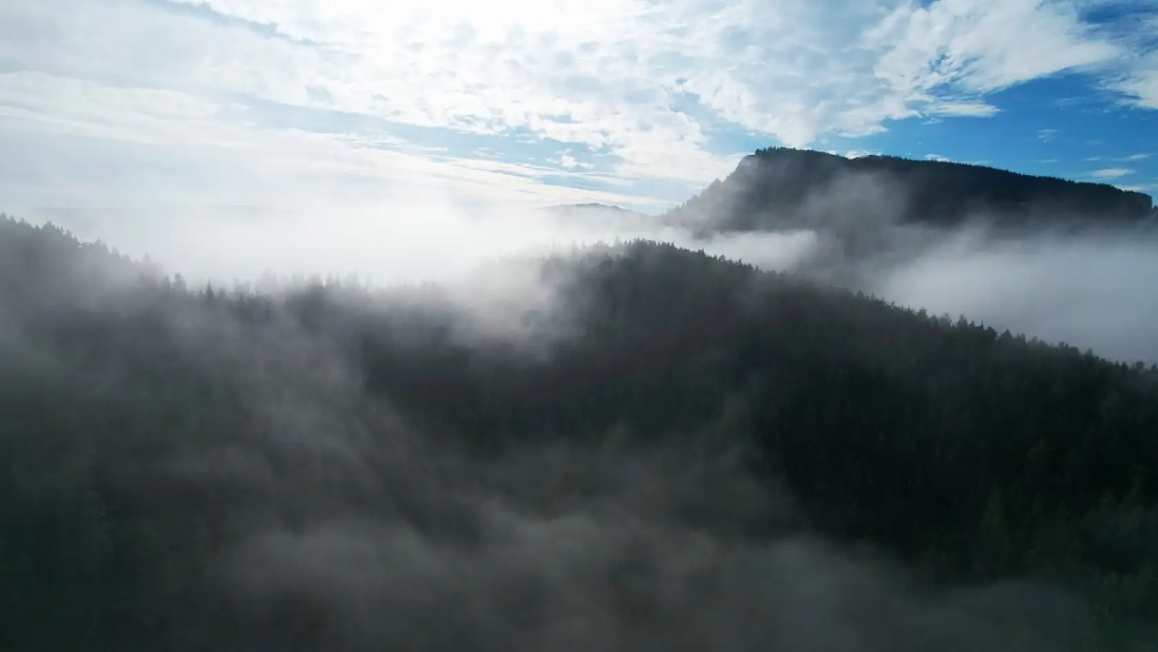 Sisle buluşan ormanlar görüntülendi