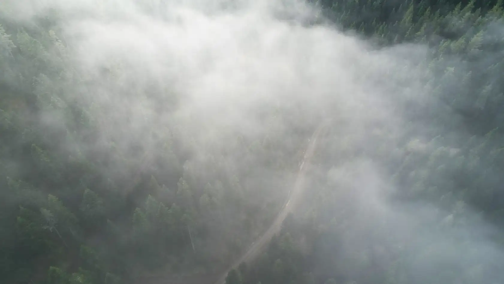 Sisle buluşan ormanlar görüntülendi