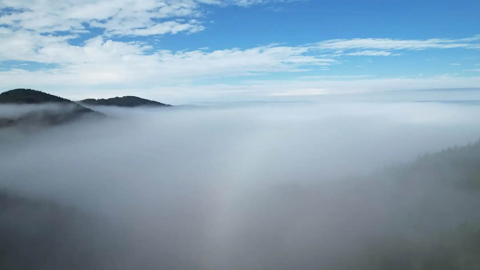 Sisle buluşan ormanlar görüntülendi