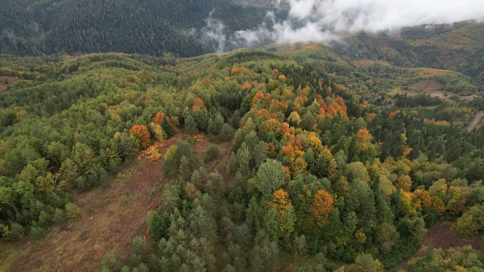 Kastamonu renk değiştirmeye başladı