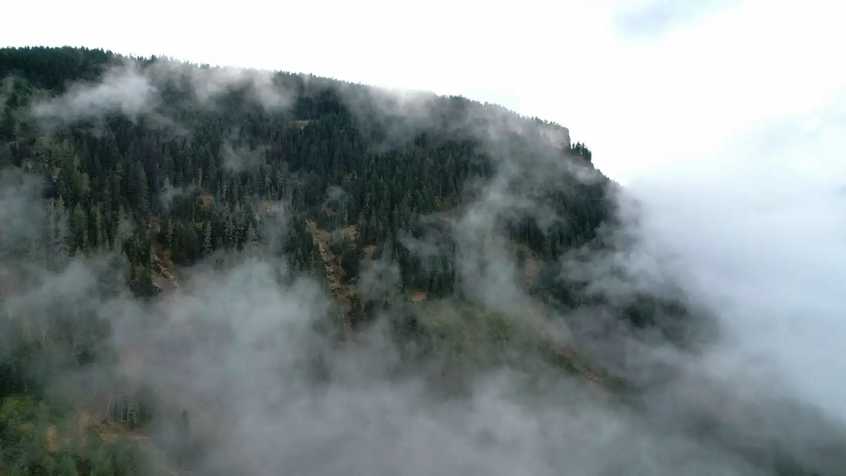 Sisle bütünleşen manzara