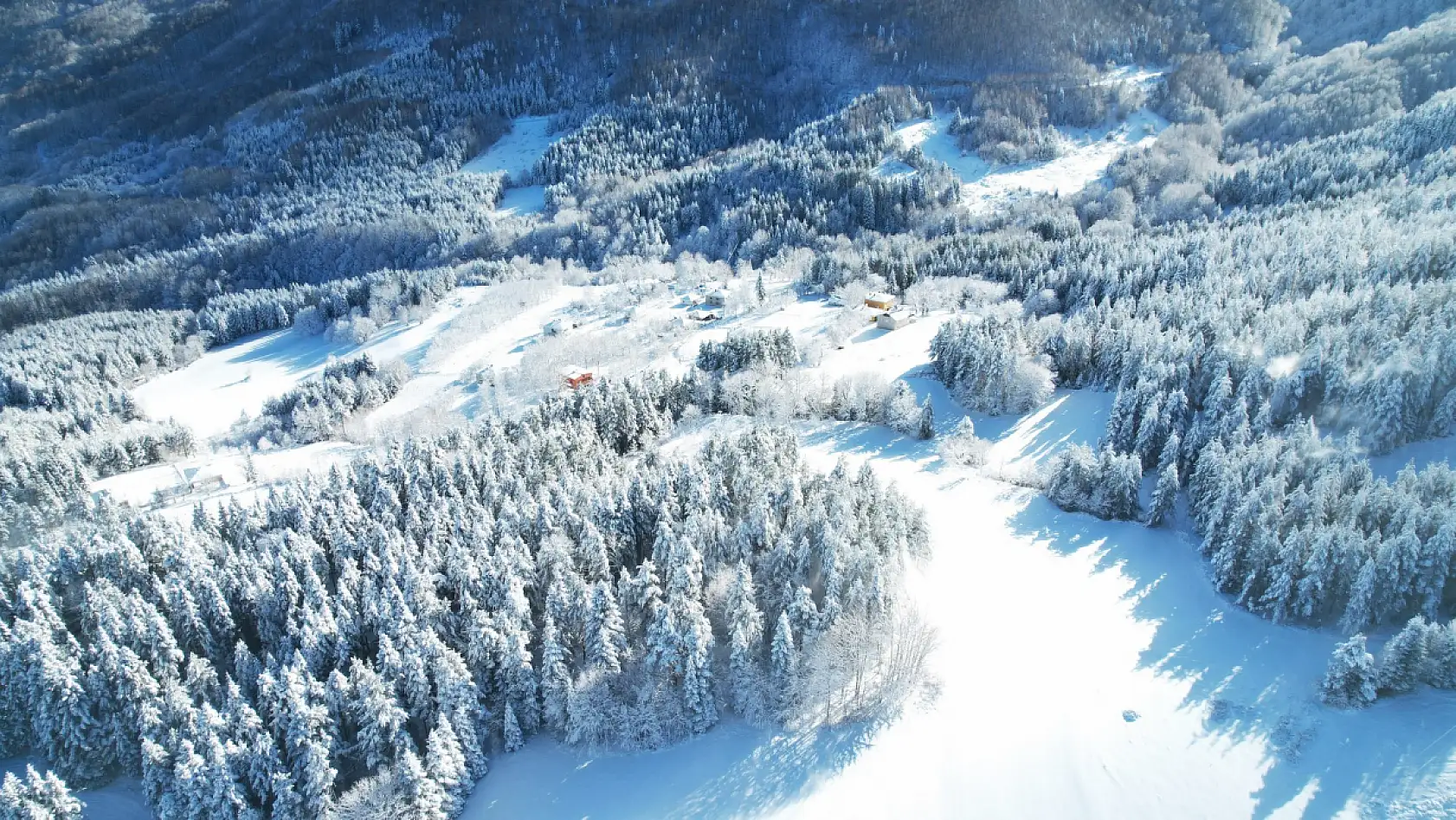 Ormanlar beyaz örtüyle kaplandı