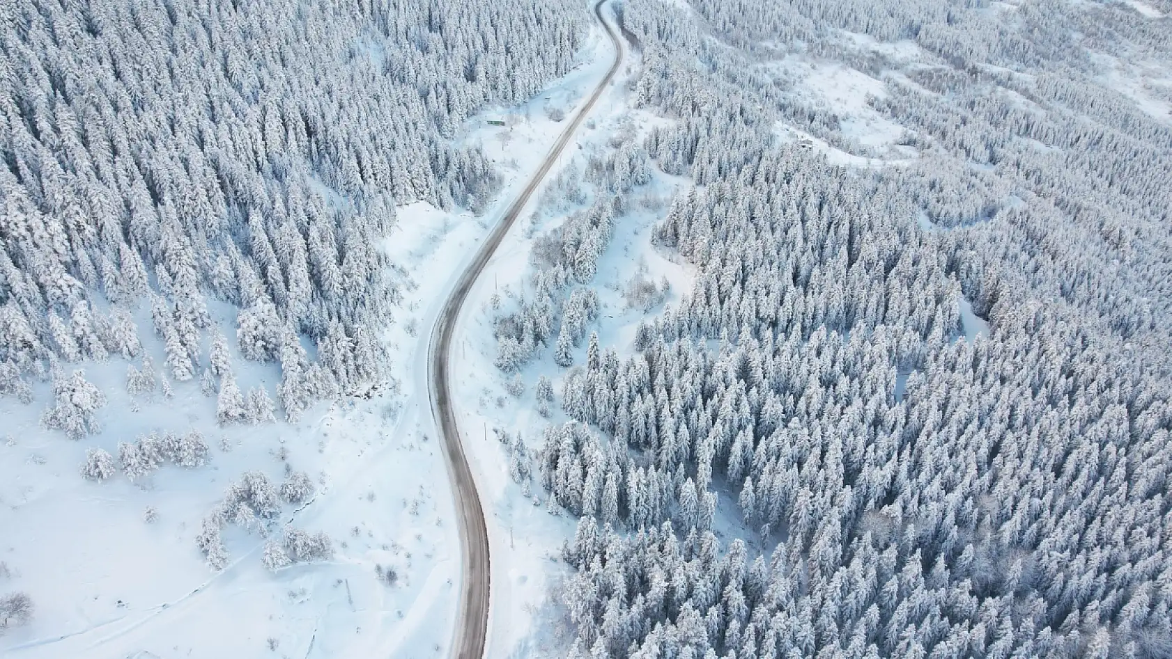 Ormanlar beyaz örtüyle kaplandı