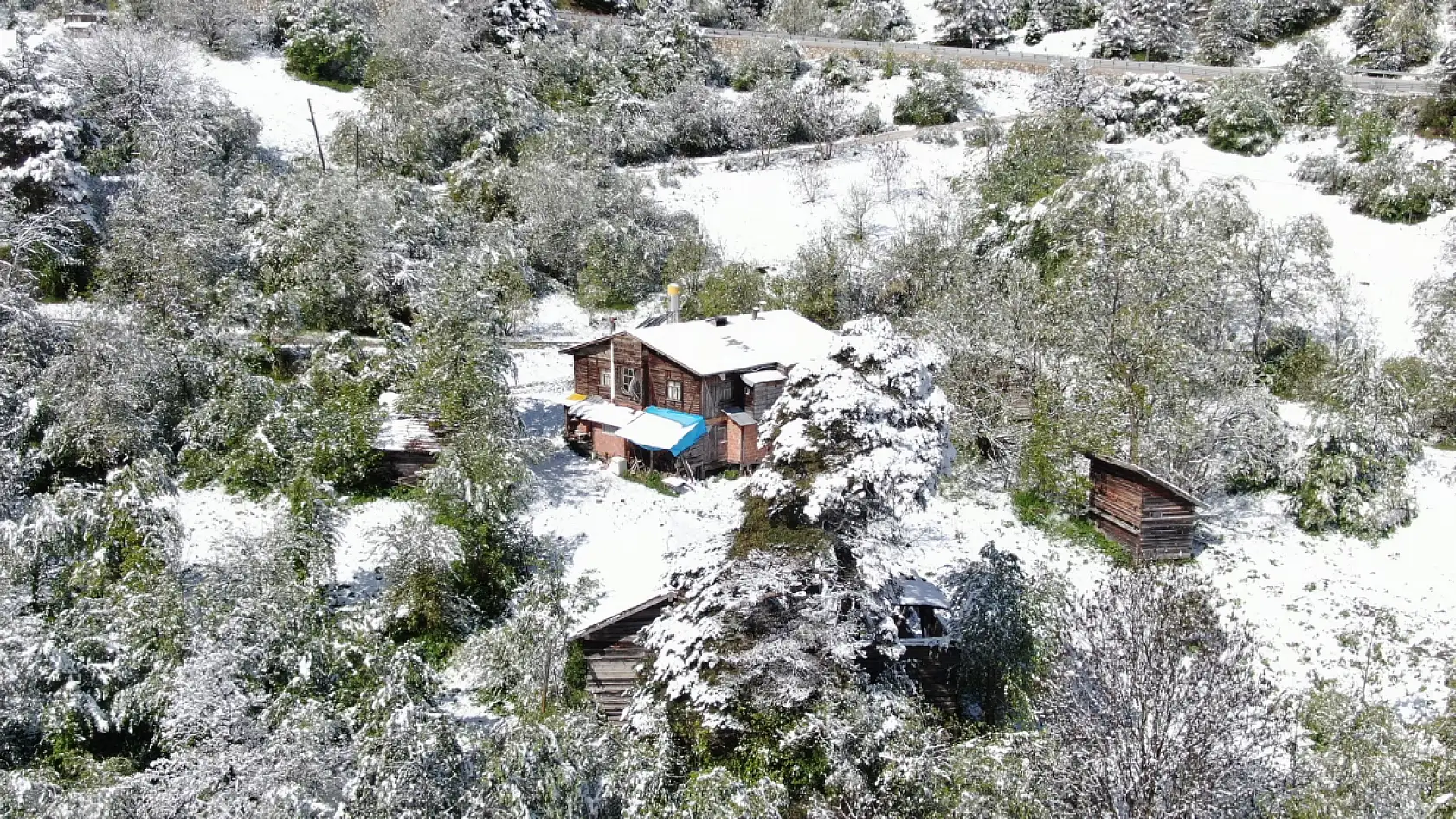 Mayıs ayı karı Ilgaz Dağı'nı beyaza bürüdü