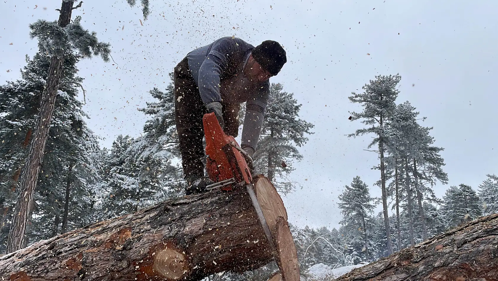 Zorlu şartlarda ekmeklerini ormandan çıkarıyorlar