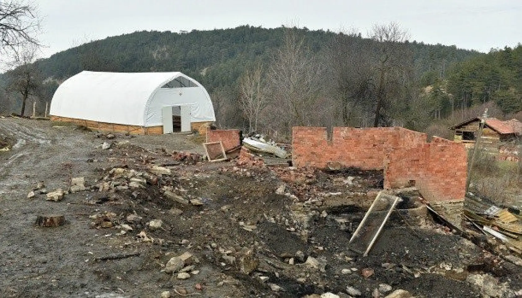 Kastamonu'da yaşanan vahşetin ayrıntıları kan dondurdu