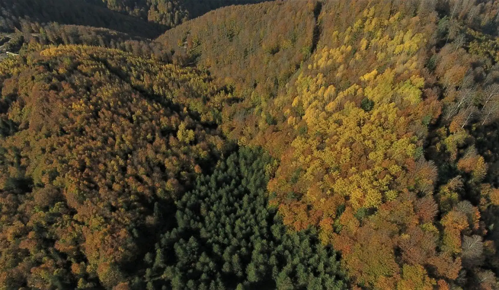 Kastamonu'da sonbahar ayrı bir güzel