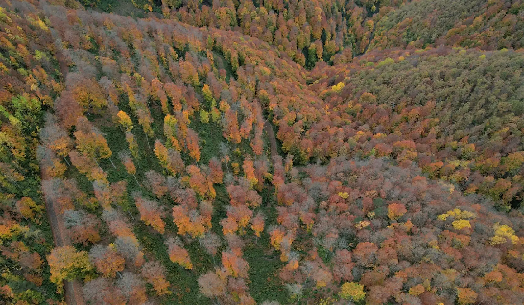 Kastamonu sonbaharın bütün renklerini yansıtıyor
