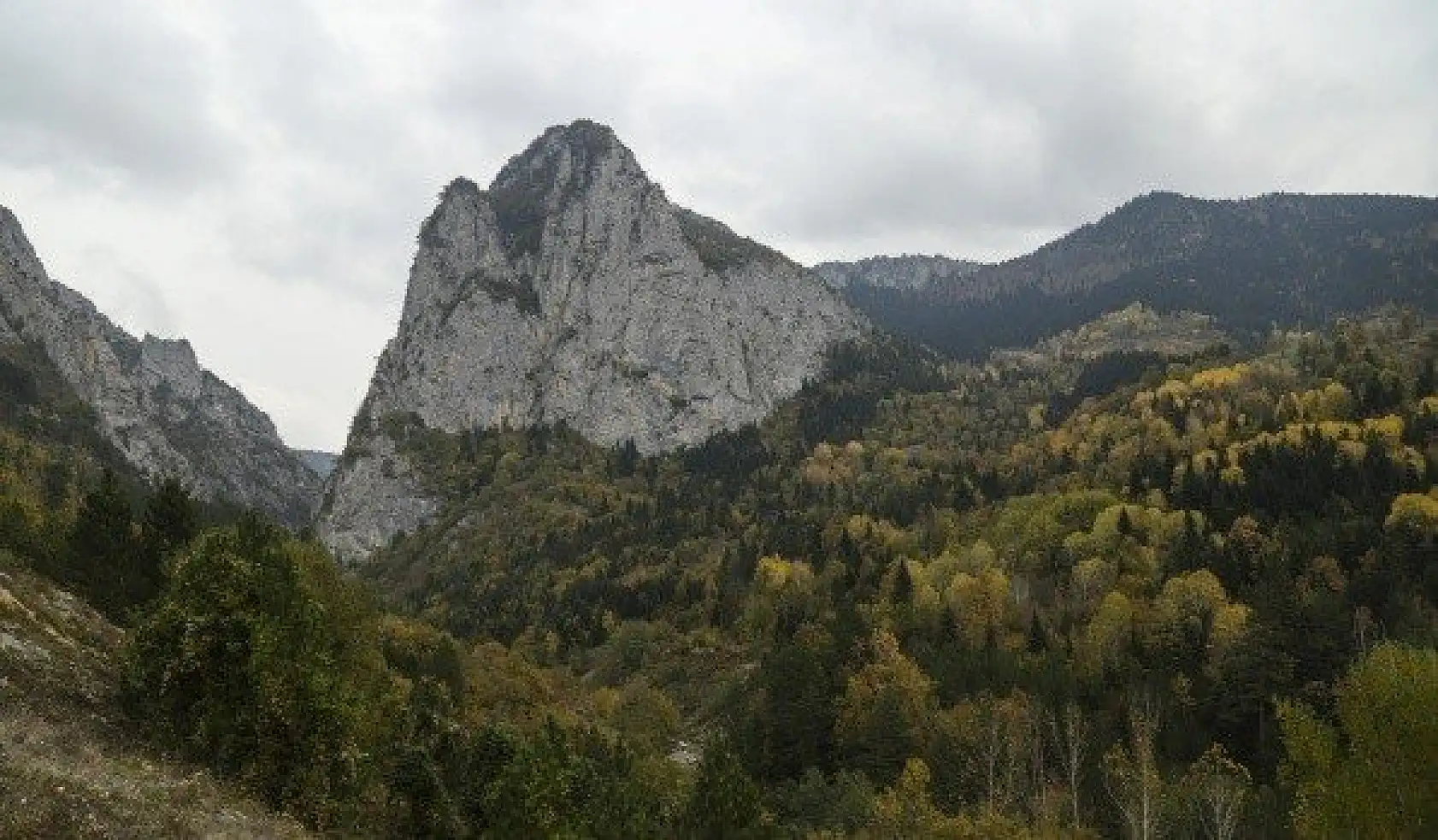 Küre Dağlarında sonbahar renklerinin görsel şöleni