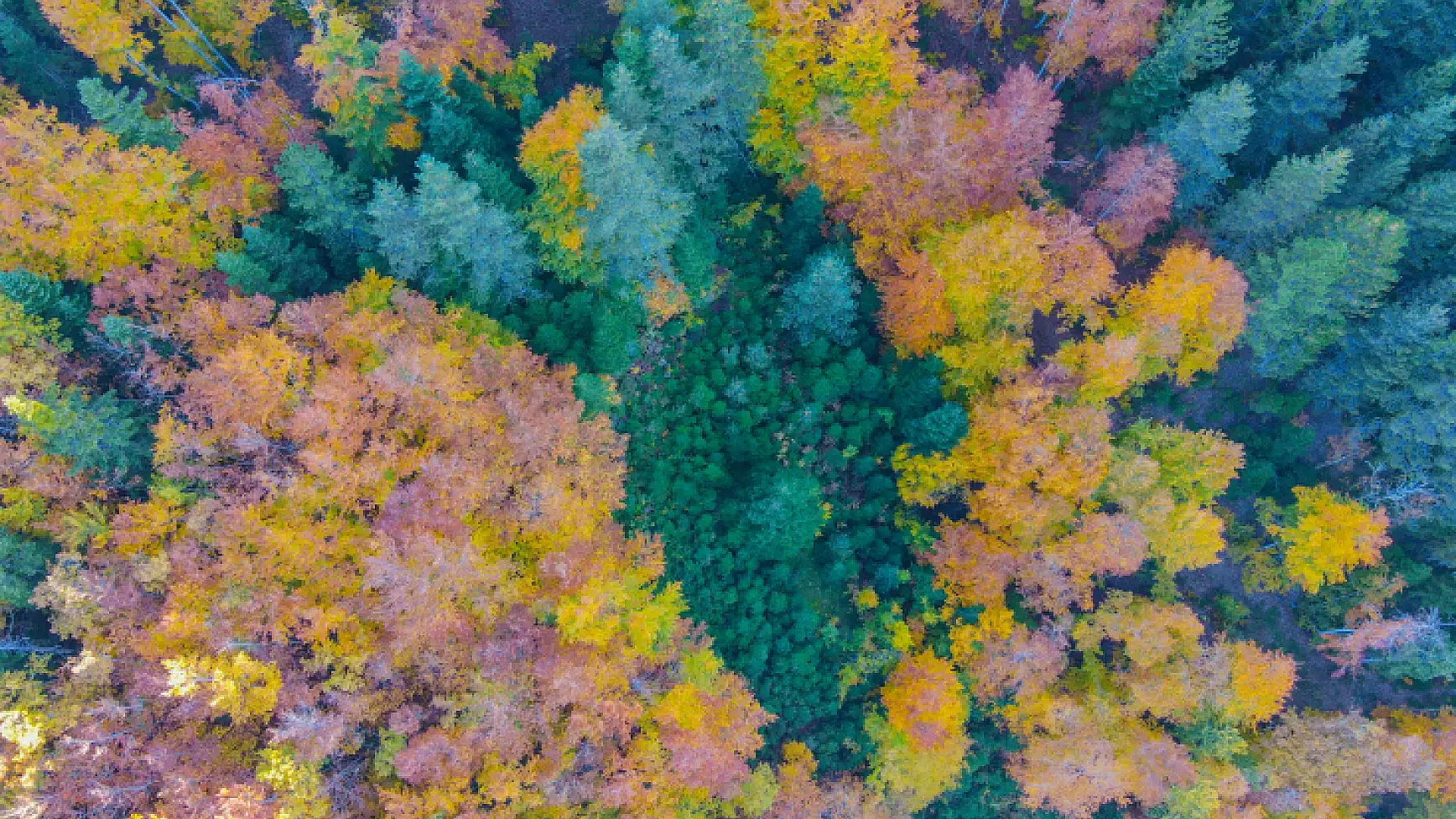 Küre Dağları'nda sonbahar güzelliği