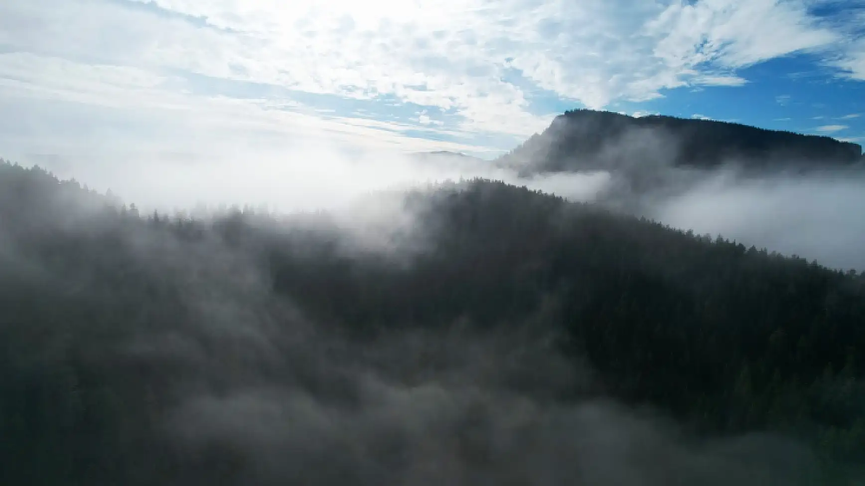 Sisle buluşan ormanlar görüntülendi