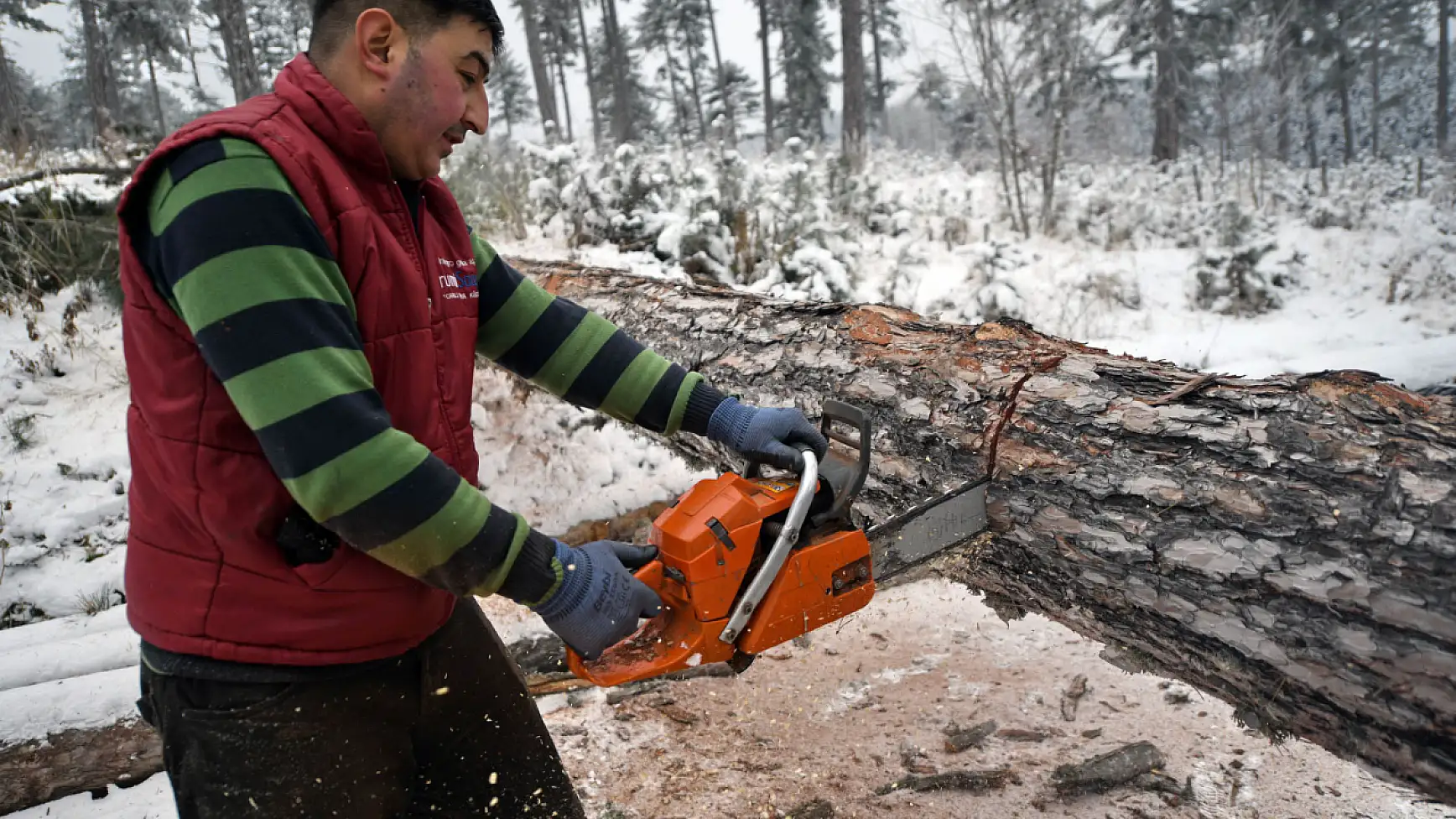 Zorlu şartlarda ekmeklerini ormandan çıkarıyorlar