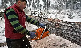 Zorlu şartlarda ekmeklerini ormandan çıkarıyorlar