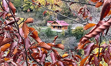 Ilgaz Dağı'nda farklı renk tonları