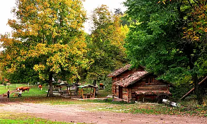 Kastamonu'da sonbahar