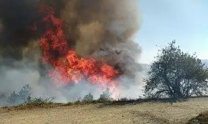 Daday'da 1 hektarlık ormanlık alan yangında zarar gördü