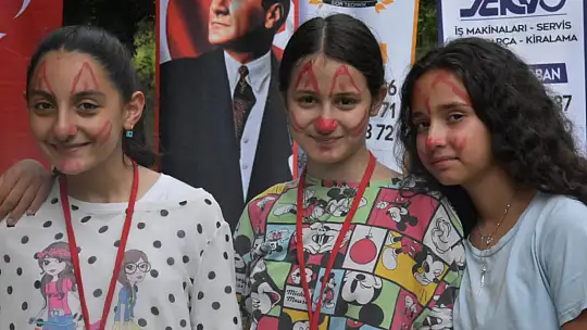 Festival gibi piknik