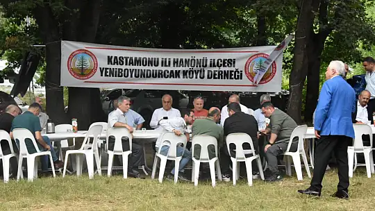 Festival gibi piknik