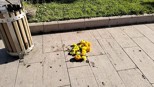 Belediyeden çevre uyarısı!