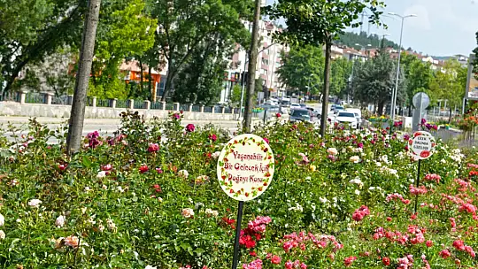 Belediyeden çevre uyarısı!